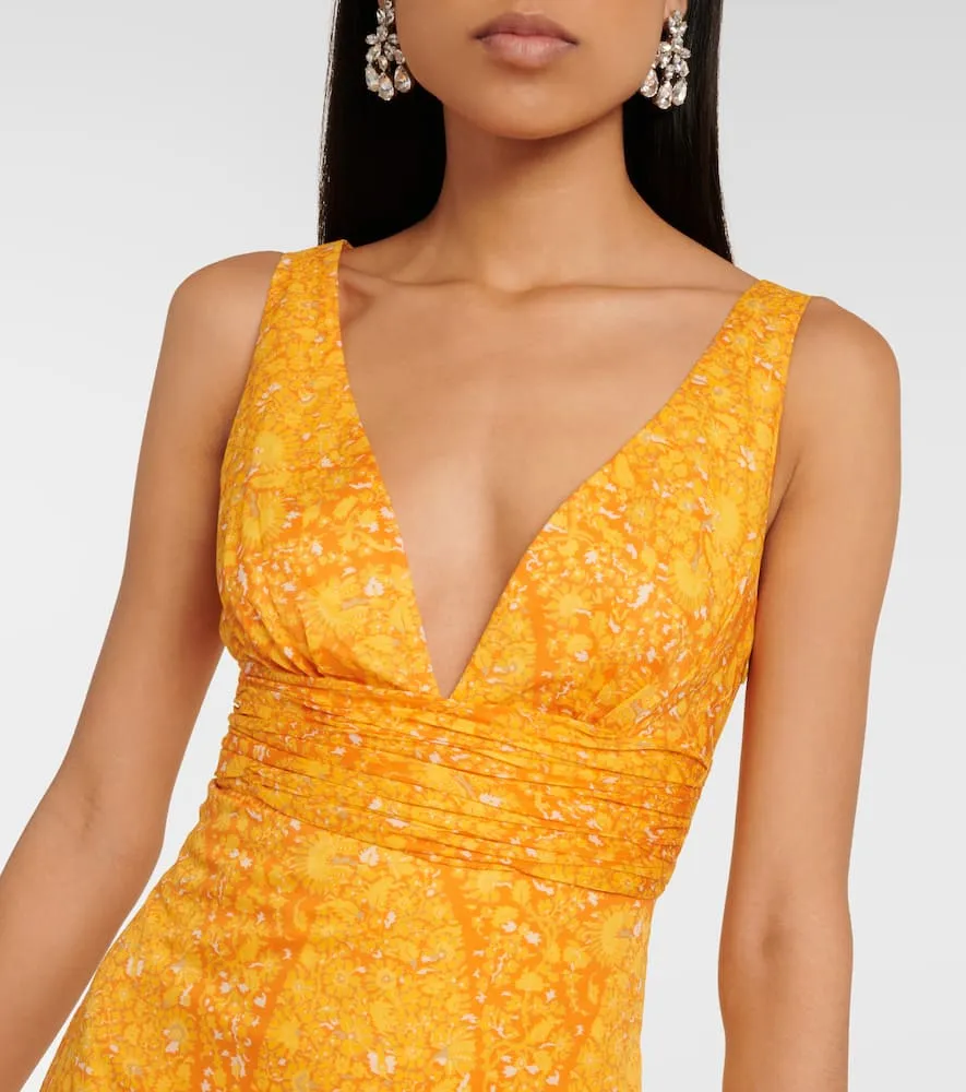Giambattista Valli Printed cotton maxi dress
