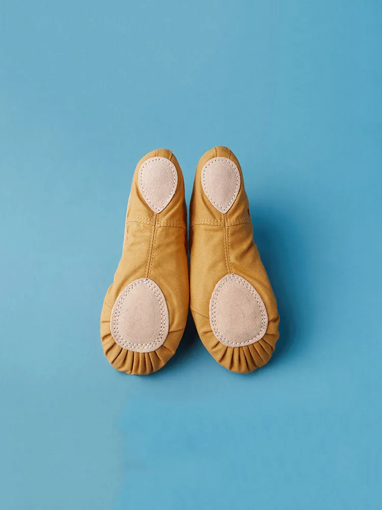 Soft Sole Professional Ballet Shoes Wear-resistant Training Shoes